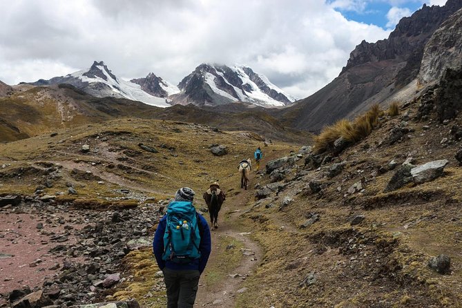 06 Day Andean Jewels of Cusco - Small Groups - Day 6: A free morning and departure transfer