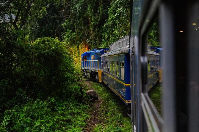 1-Day Tour to Machu Picchu by Train with Entrance Circuit 3 - Guides, communication, and support