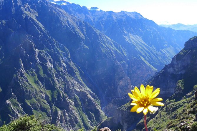 2 Day 1 Night Trek / Colca Canyon - The 5 a.m. climb back to Cabanaconde