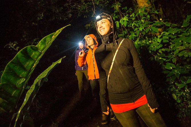 2-Day All Inclusive Guided Jungle Tour from Iquitos at Maniti Eco-Lodge - What staying at Maniti Eco-Lodge is really like