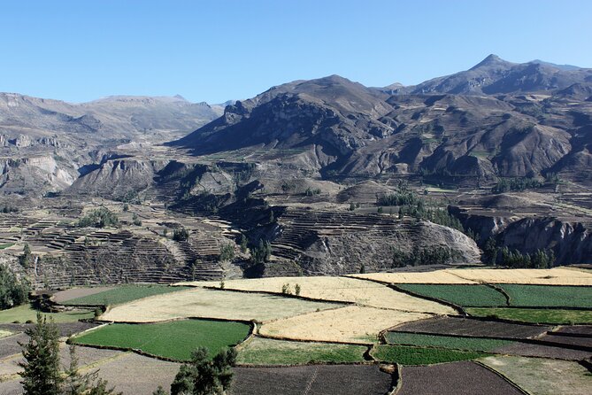 2-Day Colca Canyon, Vicuna Reserve and Condors from Arequipa - Day 1: Volcanoes, vicuñas, and the road into the valley