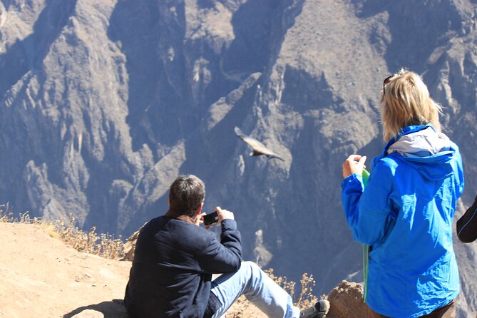 2-Day Colca Canyon, Vicuna Reserve and Condors from Arequipa - The altitude deserves real attention