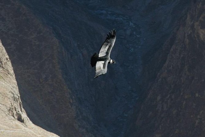 2-Day Group Tour to Colca Canyon from Arequipa to Puno - What this two-day route really gives you