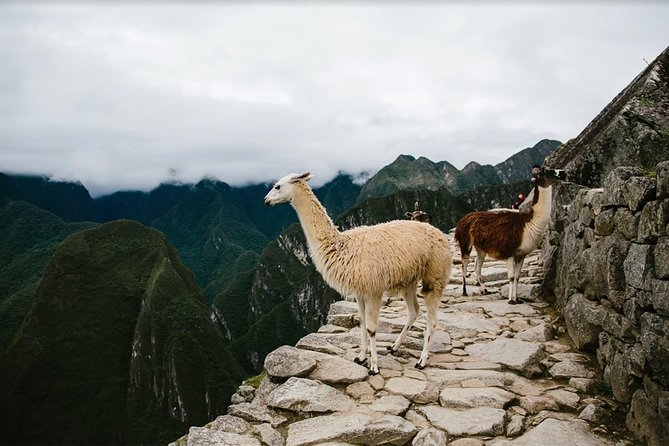 2 day hike to Machu Picchu - Chachabamba: the first archaeological stop
