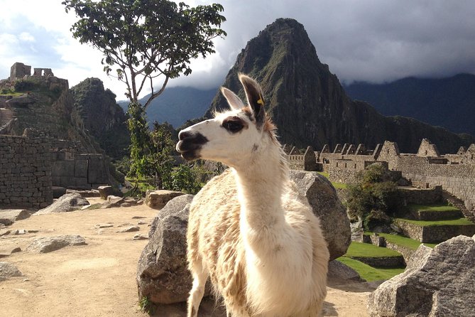 2 Day Sacred Valley Tour & Machu Picchu - Key points to know before booking