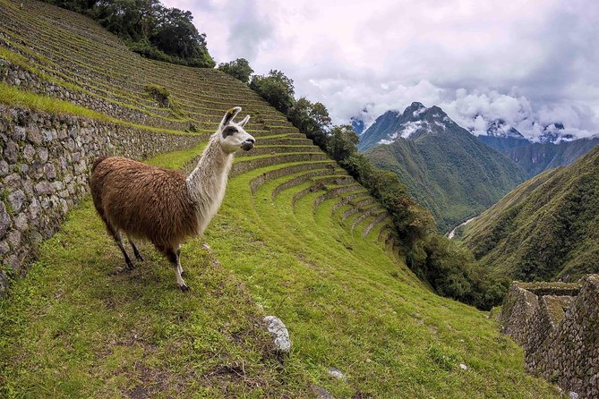 2-Day Short Inca Trail to Machu Picchu - Overnight in Aguas Calientes