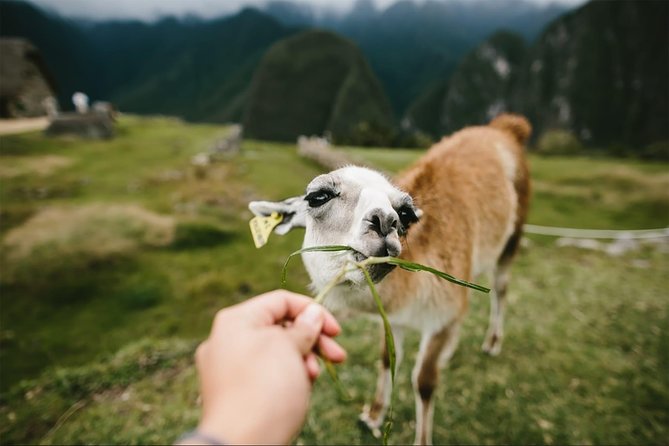 2-Day Short Inca Trail to Machu Picchu - What the $680 price covers