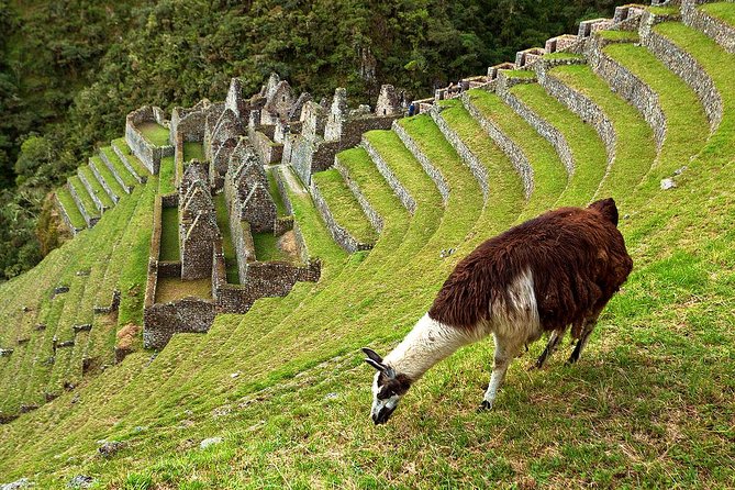 2 Day - Short Inca trail to Machu Picchu - Private Services - Returning to Cusco by bus and train