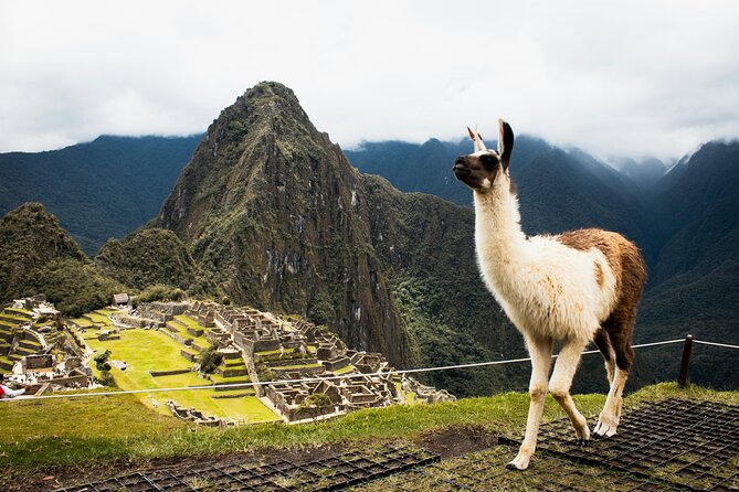 2-Day Short Inca Trail to Machu Picchu with Scenic Train - Aguas Calientes Hotel Night