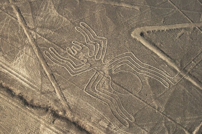 2 Day Tour from Lima: Nazca Lines Flight, Paracas, and Huacachina - Flying Over the Nazca Lines
