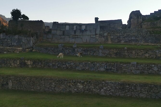 2-Day Tour in Sacred Valley and Machu Picchu from Cusco - Eight hours inside Machu Picchu