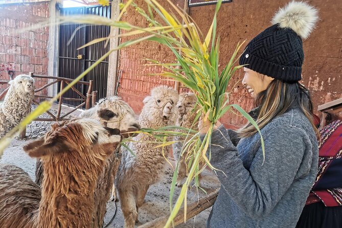 2 Day Tour: Sacred Valley Cultural and Machu Picchu by train - Chinchero and its living textile tradition