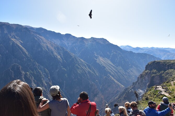 2-Day Tour to the Magical Colca Canyon - Salinas y Aguada Blanca and the road over the volcanoes