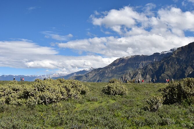 2-Day Tour to the Magical Colca Canyon - Wayra Punku, Antahuilque, and Maca
