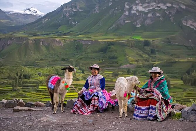 2-Day Tour to the Magical Colca Canyon - Pata Pampa at 4,900 meters