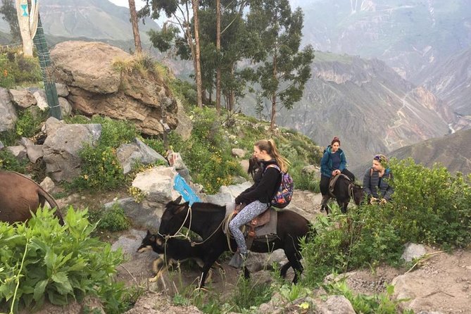 2 Day Trek Including Transfer to Puno / Colca Canyon - Sangalle, warm pools, and a basic overnight
