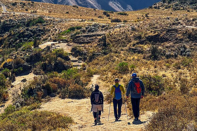 2 Days 1 Night trekking Through Colca Canyon, Private room - Maca, terraces, and the Chacapi hot springs