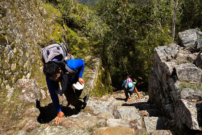 2 Days Shared Inca Trail to Machu Pichu - Day two: a guided visit to Machu Picchu