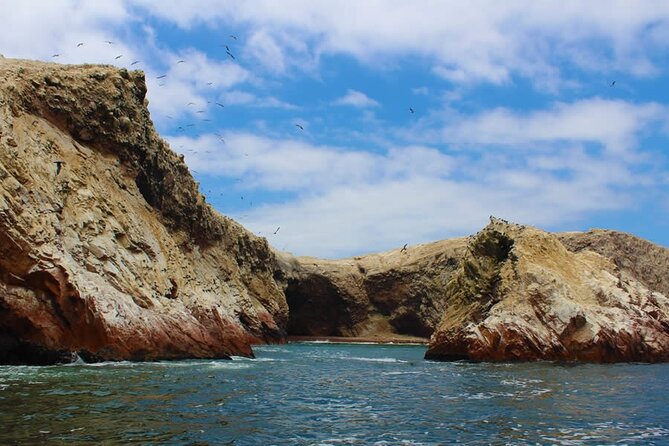 2-Hour Tour to the Ballestas Islands from Puerto San Martín - Sea lions, penguins, birds, and rocky islands