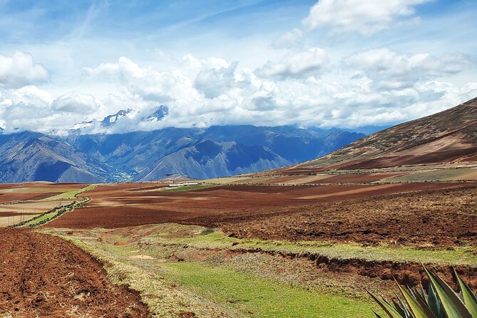 2D1N Sacred Valley of the Incas, Peruvian Cuisine, and Machu Picchu Tour - Buffet lunch in Urubamba