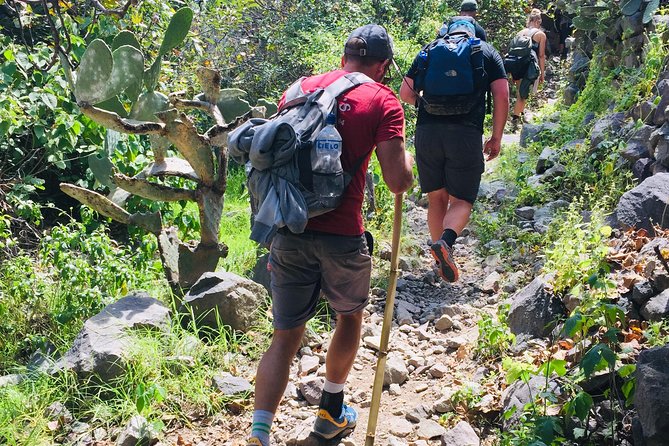 3 Day 2 Night Trek / Colca Canyon - Day two: honey, village life, and Sangalle
