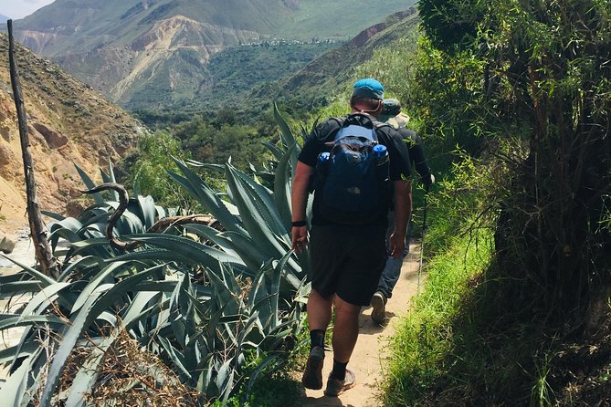 3 Day 2 Night Trek / Colca Canyon - Chacapi hot springs near Chivay