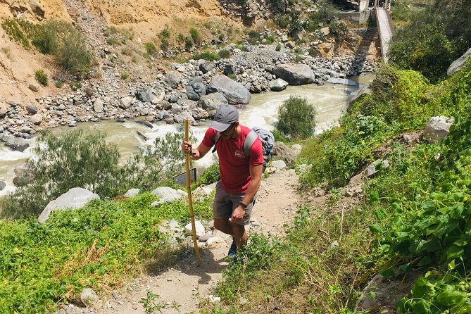 3 Day 2 Night Trek / Colca Canyon - Pampa Cañahuas and the camelids of Peru