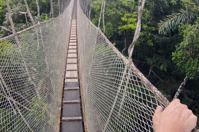 3-Day All Inclusive Guided Jungle Tour from Iquitos at Maniti Eco-Lodge - Sunrise, animal watching, and the Amazon morning