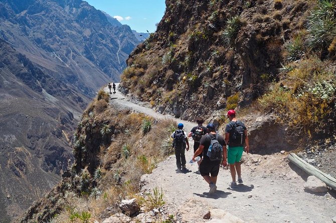 3-Day Backpacker Colca Canyon Trek from Arequipa - Key points before you book