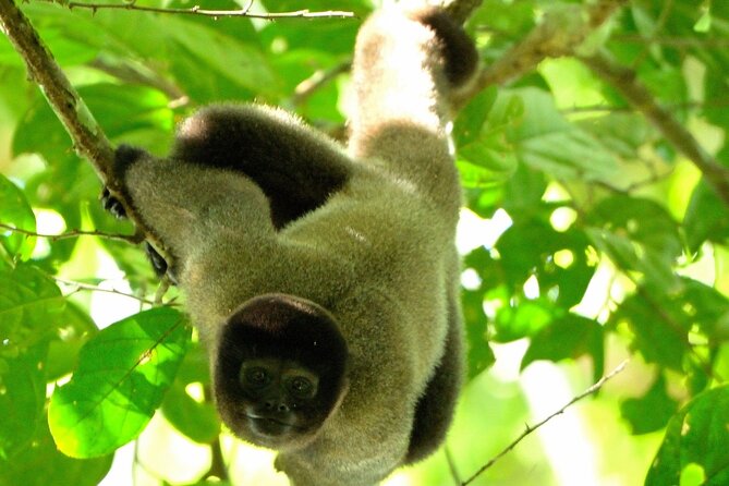 3-Day Eco-Sustainable Private Tour Manu National Park - The essential facts at a glance