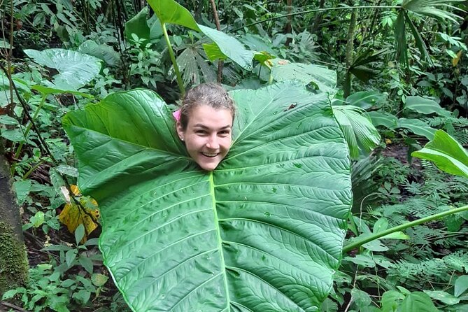 3-Day Eco-Sustainable Private Tour Manu National Park - Lodging, meals, and the comfort level