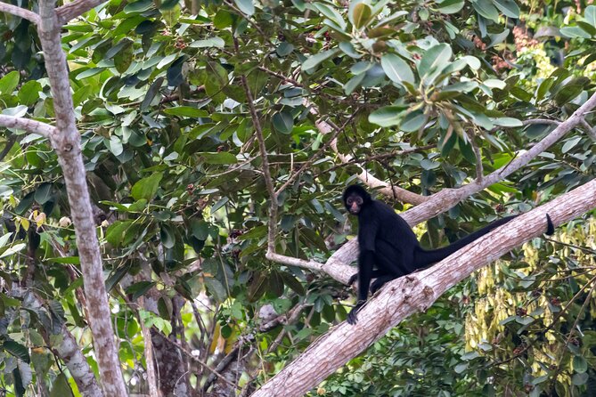3-Day Eco-Sustainable Private Tour Manu National Park - The guides make the difference