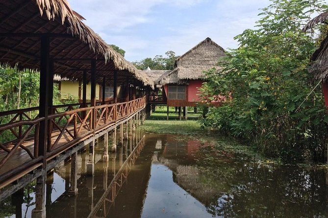 3-Day Iquitos Amazon Jungle Adventure at Heliconia Lodge - Wildlife expectations: rewarding, but never promised