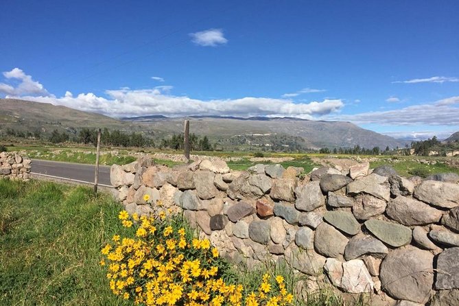 3 Day Trek Including Transfer to Puno / Colca Canyon - Condor’s Cross and the first canyon descent