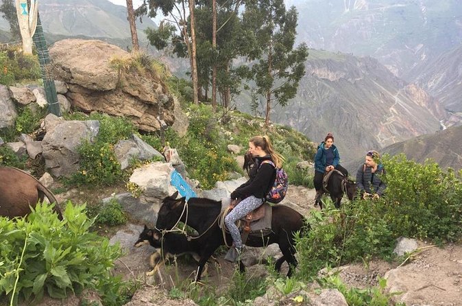 3 Day Trek Including Transfer to Puno / Colca Canyon - Chacapi hot springs and the road back