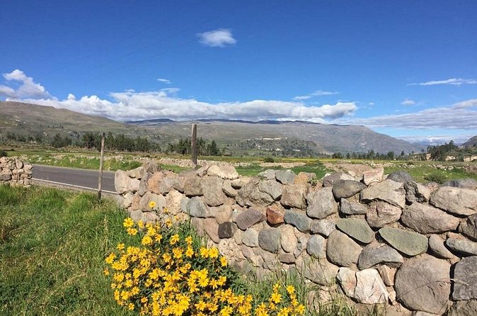 3 Day Trek Including Transfer to Puno / Colca Canyon - How the Puno transfer fits the trip