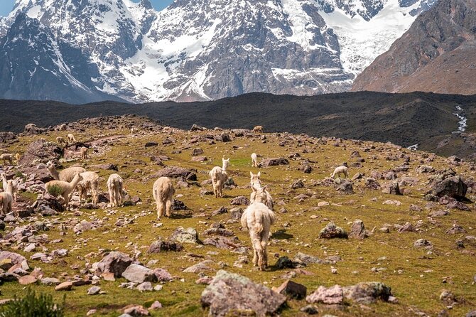3 Days All Inclusive Ausangate to Rainbow Mountain Trek - Day 1: From Cusco to Upis and the foot of Ausangate