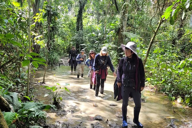 3 Days Amazon Jungle Tour in Manu Peru - What $540 buys you