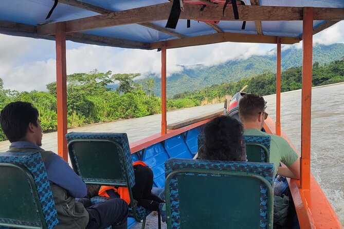 3 Days Amazon Jungle Tour in Manu Peru - Cloud forest walks and the cock-of-the-rock