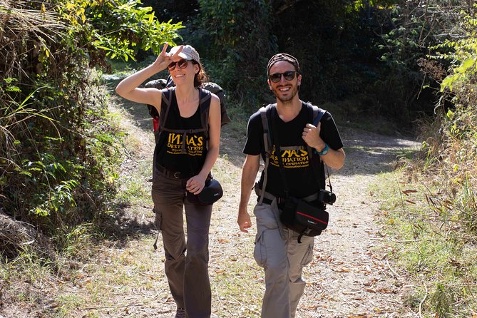 4-Day Adventure Tour: Inca Jungle Trail to Machu Picchu - Day 4: Machu Picchu, the return train, and Cusco