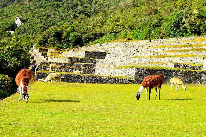 4-Day Classic Inca Trail to Machu Picchu - What the $850 price really covers