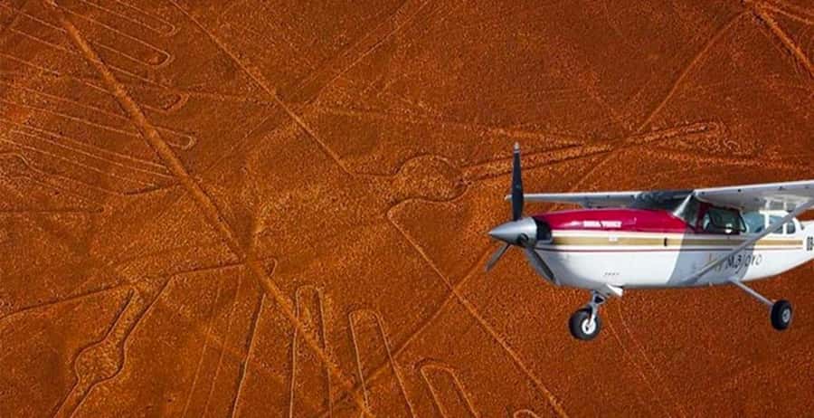 4 Day from Lima: Nazca Lines Flight, Paracas, and Huacachina - Day 2: Ballestas Islands and the cliffs of Paracas Reserve