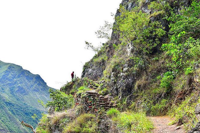 4-Day Inca Jungle Tour: Machu Picchu Biking, Rafting, and Zipline - Day four: sunrise and a guided Machu Picchu visit