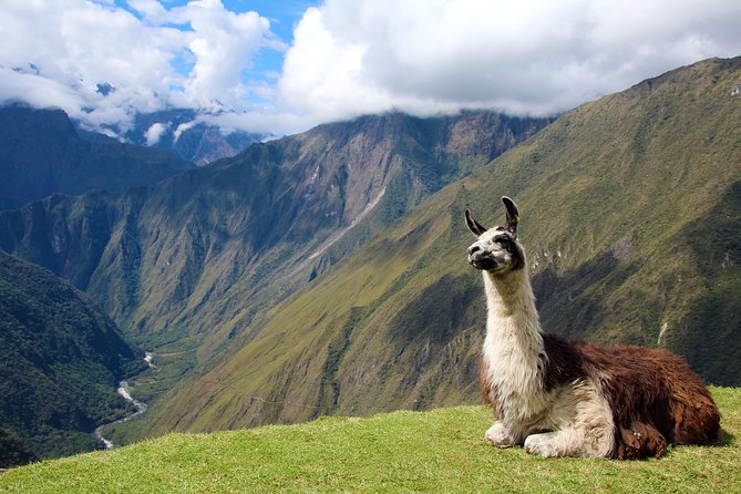4 Day - Inca Trail to Machu Picchu - Group Service - Day three: Phuyupatamarca, Intipata, and Wiñay Wayna