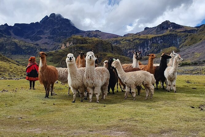 4 Day Lares Trek to Machu Picchu 2024 - Why the Lares route feels different