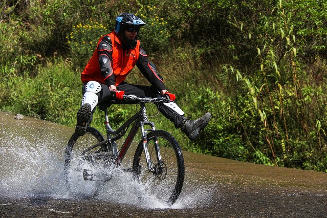 4-Day Machu Picchu Tour with Biking, Rafting, and Ziplining - Day two: four hours through the high forest to Cocalmayo