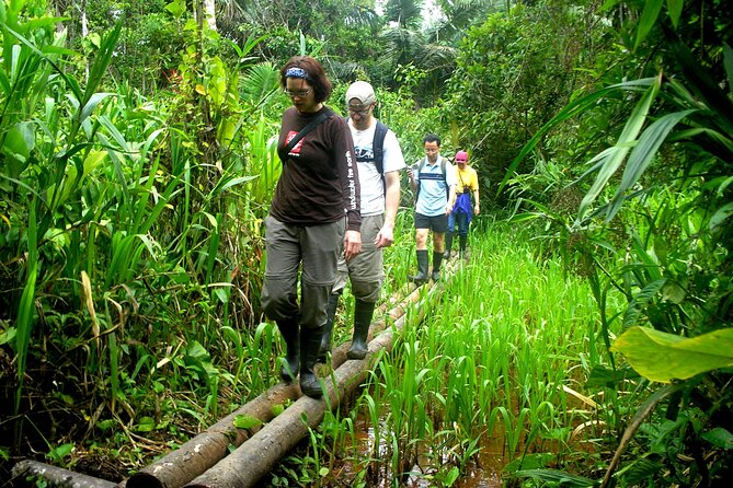 4-Day Private Tour to Manu National Park from Cusco - Day One: Chullpas, Cloud Forest, and the Madre de Dios River
