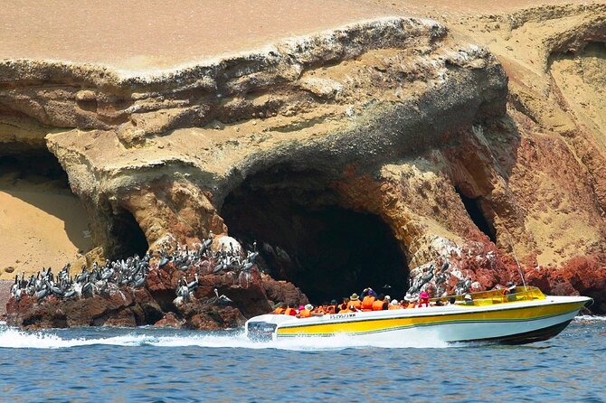 4 Day Tour from Lima: Nazca Lines Flight, Paracas, and Huacachina - Key points at a glance