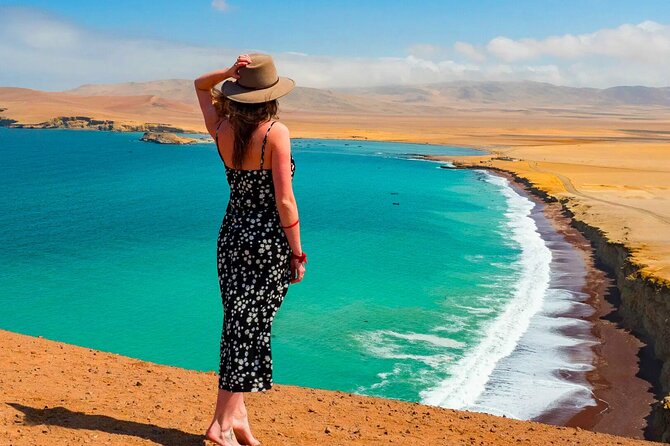 4 Day Tour from Lima: Nazca Lines Flight, Paracas, and Huacachina - Day 2: Penguins, sea lions, and Paracas’s red beach