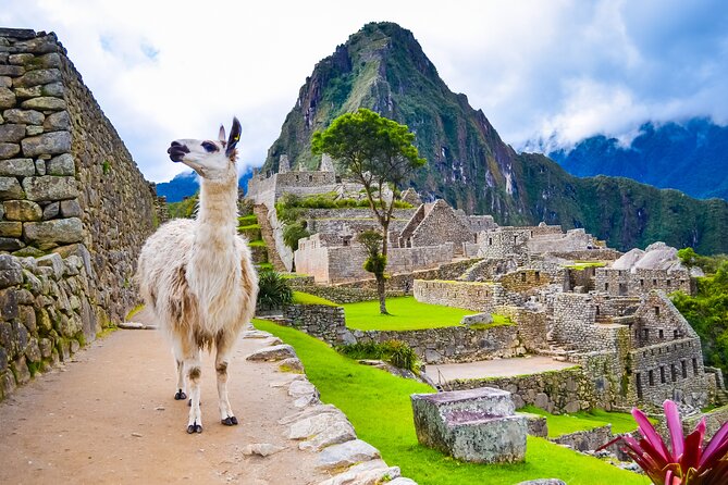 4-Day Tour in Cusco Sacred Valley Machu Picchu - Who should choose this Cusco tour?